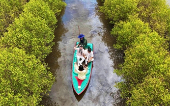 Slice of Mekong Delta hidden in billion-dollar industrial hub in central Vietnam