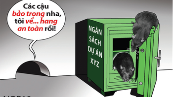 Cái cũi vàng