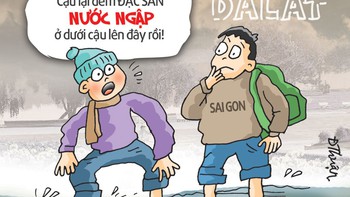 Phú Quốc, Đà Lạt gia nhập "Hiệp hội Ngập đô thị"