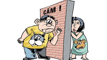 Tình yêu Tom và Jerry