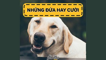 Những đứa hay cười