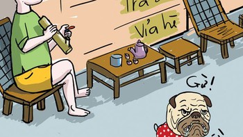 Chó thả rông rất hiền và rất ngoan
