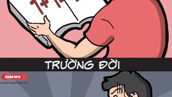 Trường học và trường đời