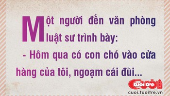 "Đấu giá" với luật sư