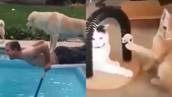 Không sợ kẻ địch mạnh, chỉ sợ đồng đội...