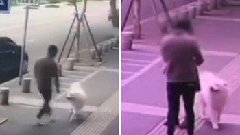 Chọc chó để bị cắn rồi ăn vạ đòi tiền viện phí