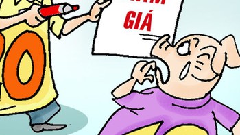 Canh Tý tỏ ra cảnh giác với Kỷ Hợi