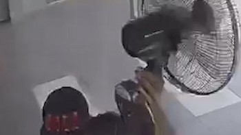 Thanh niên trèo tường vào nhà trộm quạt máy