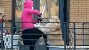 Cô gái 'đấu võ' với chó cưng