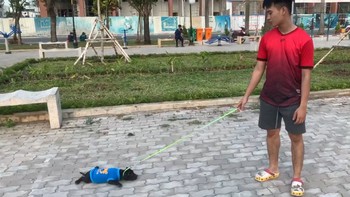 Chú chó buồn ngủ nằm lê lết mặc kệ chủ