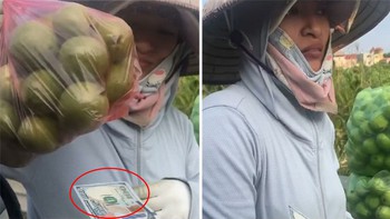 Người phụ nữ bán ổi nhất quyết không lấy 100 đô, chỉ lấy đúng 40.000 đồng