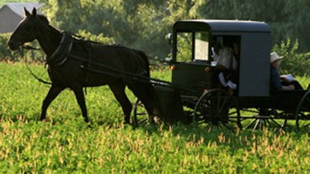 Mỹ: Kinh doanh online nhưng không xài Internet? Người Amish xoay sở bán hàng giữa covid-19