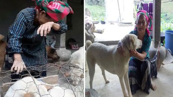 Cụ bà khóc nức nở khi bán chó cưng được nam thanh niên mua tặng lại bà
