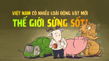 Thế giới sửng sốt khi phát hiện Việt Nam có nhiều loài động vật mới