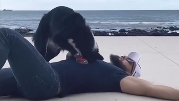 Cảm động khoảnh khắc chú chó cố gắng cứu sống cậu chủ trong cơn nguy kịch