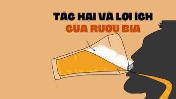 Rượu bia cũng có lợi ích về sức khỏe và kinh tế