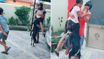 Bé gái hoảng hồn, bỏ chạy 'té khói' vì bị chó rượt
