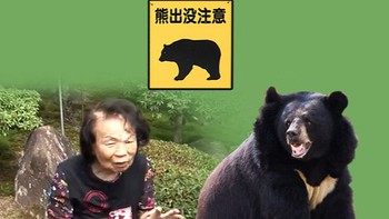 Bà ngoại 82 tuổi tay không đánh đuổi gấu ở Hiroshima