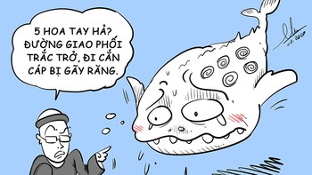 Những sự thật thú vị về cá mập