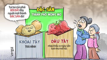 Đặc sản khoai tây tắm bùn, dâu tây trẻ mãi không già