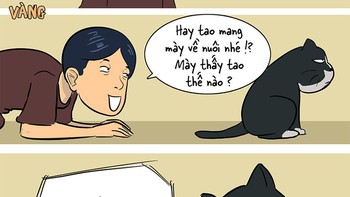 Thằng Vàng 'thả thính' mèo cũng thất bại
