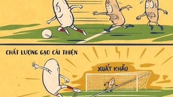 Vượt Thái Lan, gạo Việt Nam có giá 'chuyển nhượng' cao nhất thế giới
