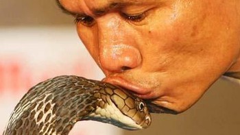 Hôn 19 rắn hổ mang, ngậm cùng lúc 10 rắn đuôi chuông