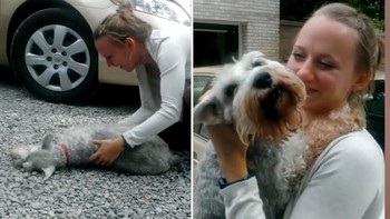 Chú chó mừng đến ngất xỉu khi gặp lại cô chủ sau 2 năm