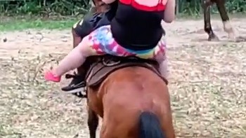 Chú ngựa hất cặp đôi xuống sông vì mãi không lên được bờ