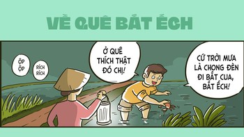 Về quê bắt ếch vẫn nhớ về thành phố