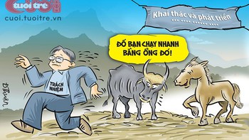 Hậu nghiên cứu khoa học, bò tót bị bạc đãi
