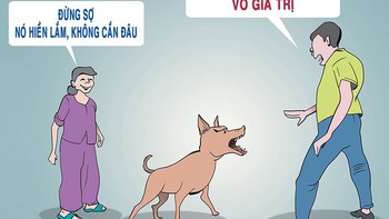 Cảnh giác với 'Nó không cắn đâu'