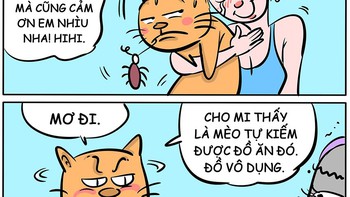 'Hoàng thượng' mèo dạy đời: Có làm thì mới có ăn