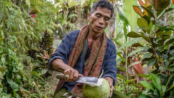 Sinh viên Bali trả học phí cho trường bằng dừa và lá cây