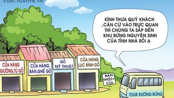 Tour tham quan rừng... nội thất