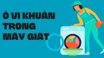 Máy giặt chứa một ổ vi khuẩn không kém toilet