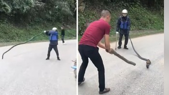 Chàng trai múa võ khi bị 3 chú chó lao ra rượt
