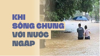 Bệnh của chân, da và ruột