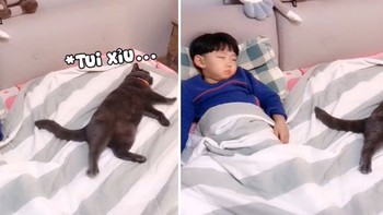 Chú mèo đi ngủ để cậu chủ bắt chước ngủ theo