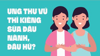 Bị ung thư vú thì kiêng sữa đậu nành, đậu hũ?