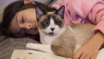 Muốn tốt cho sức khỏe, hãy nuôi...hoàng thượng!