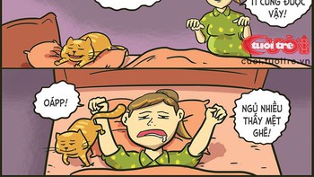 Tết là tủ lạnh, Tết là tivi