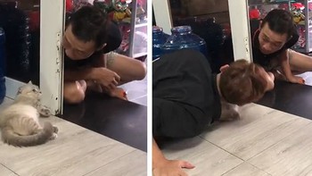 Đang giỡn với 'hoàng thượng', ông bố giật mình khi bị con trai hù