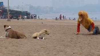 Chàng trai đeo mặt nạ sư tử sợ xanh mặt vì hù nhầm chó dữ