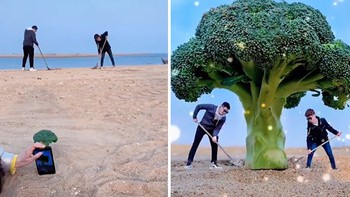 Nghệ thuật là ánh trăng lừa dối