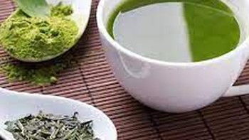 Trà xanh đang được nghiên cứu để chế thuốc ngừa COVID- 19