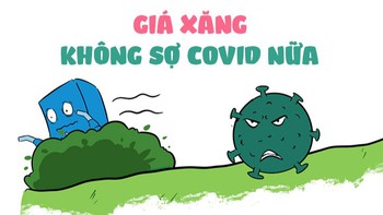 Giá xăng không còn sợ Cô Vít nữa