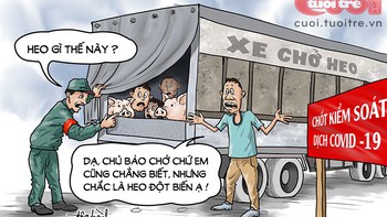 Chấp nhận biến thành heo để né chốt kiểm soát Cô Vít
