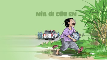 Bi hài mùa dịch: F0 trốn trong bụi mía