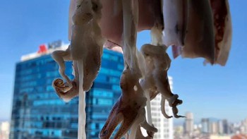 Chị gái Sài Gòn làm mực một nắng giữa Hà Nội nóng điên người